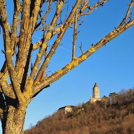 Burgblick Apartment- 60Qm, Kueche, Waschmaschine, Streamingdienste Seebenstein 外观 照片