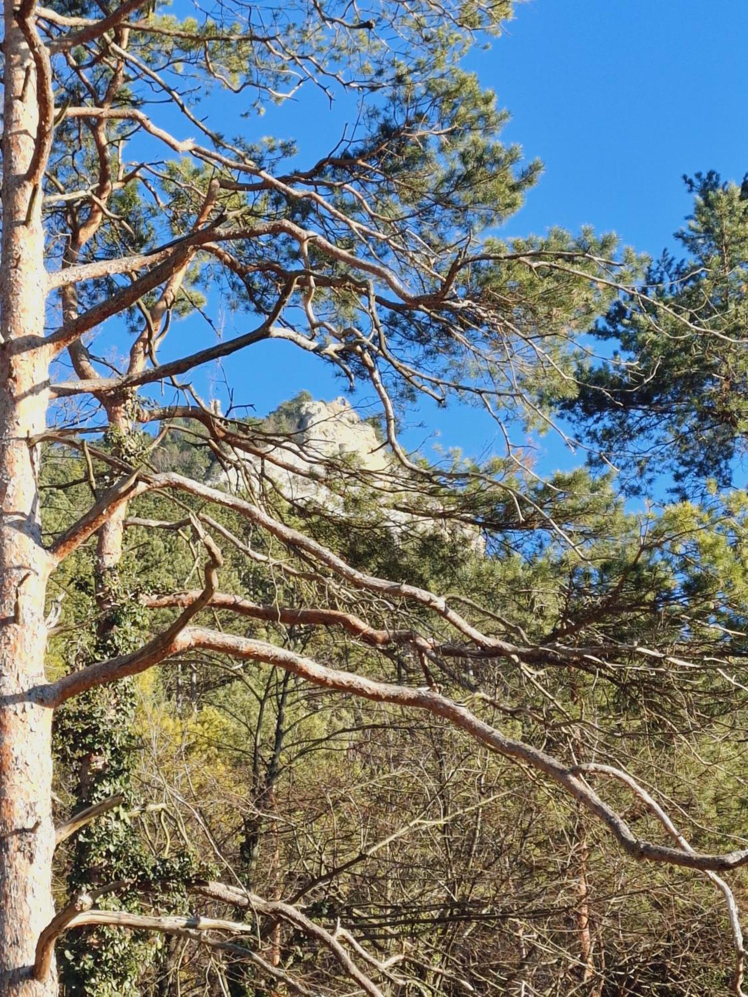 Burgblick Apartment- 60Qm, Kueche, Waschmaschine, Streamingdienste Seebenstein 外观 照片