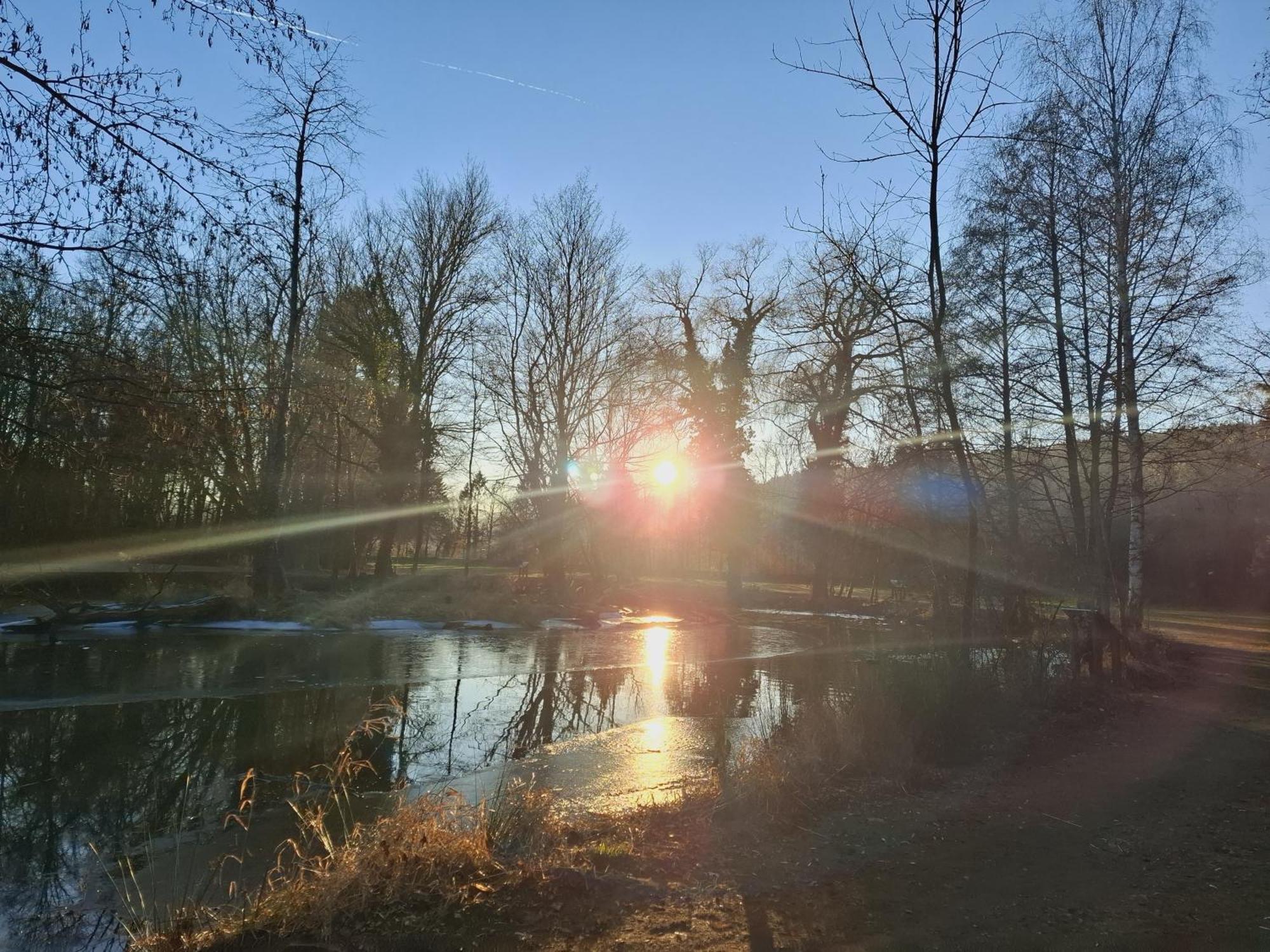 Burgblick Apartment- 60Qm, Kueche, Waschmaschine, Streamingdienste Seebenstein 外观 照片